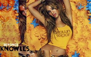 Beyonce Knowles